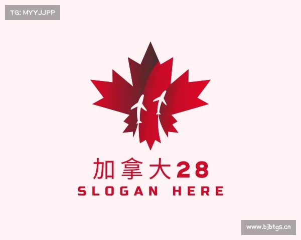 解读加拿大28
